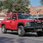 RF-RIP FEST-2025-015