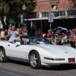 RF-RIP FEST-2025-042