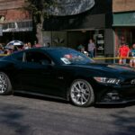 RF-RIP FEST-2025-050