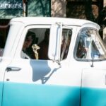 RF-RIP FEST-2025-053