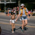 RF-RIP FEST-2025-076