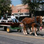 RF-RIP FEST-2025-125