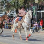 RF-RIP FEST-2025-303