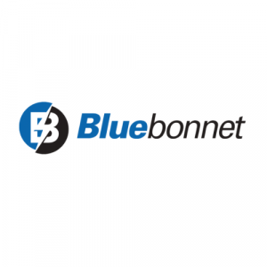 Bluebonnet Bluebonnet