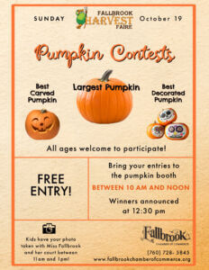 Pumpkin Contests 2025-1