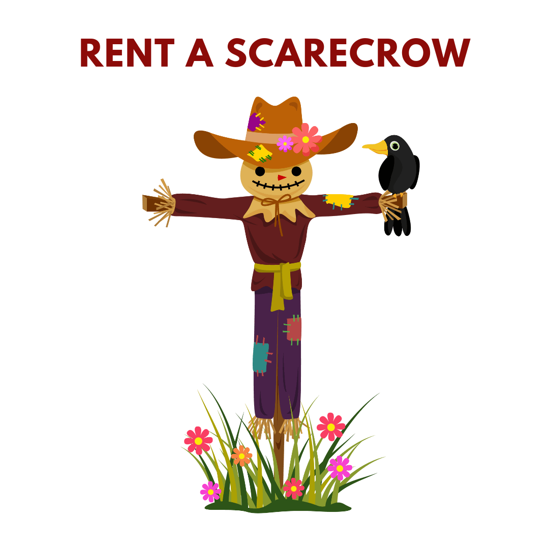 Rent a Scarecrow