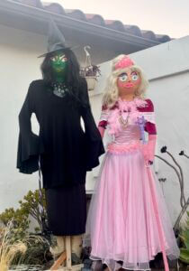 POP Culture_Wicked Elphaba and Glinda_Fulce Family