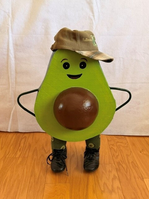 Avo Boy Avo Boy