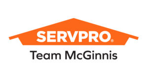 Logo_TeamMcGinnis_BT