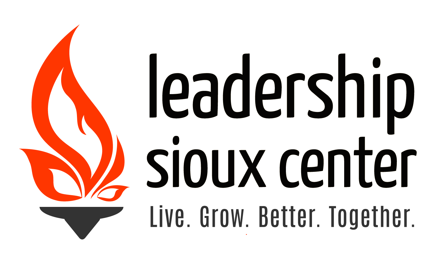 leadership-sc-logo
