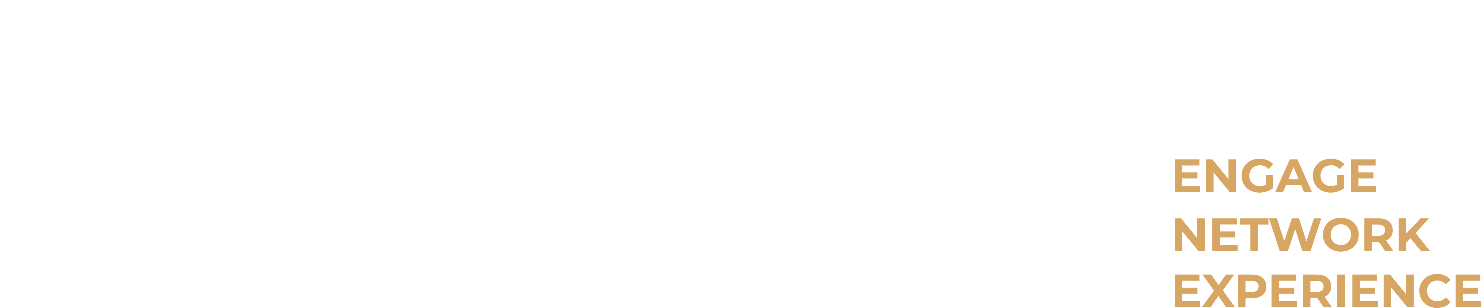SCENE_White