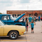 _DSC0223