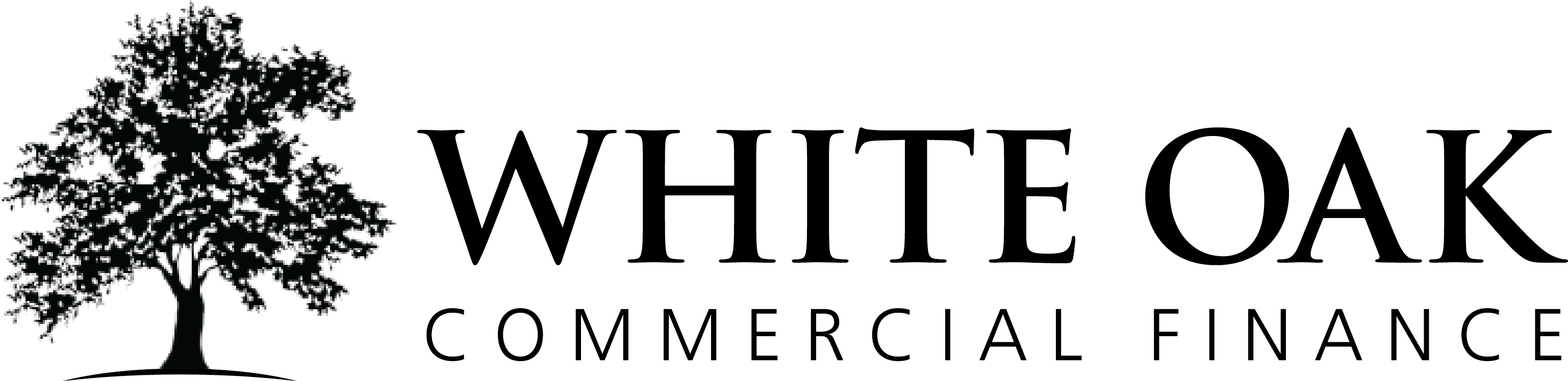 WOCF_Logo_Reversed