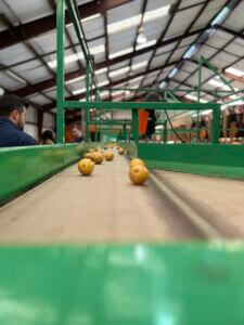 Photo Jan 09 2025, 2 39 40 PM