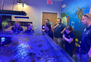 Screenshot 2025-10-13 125302