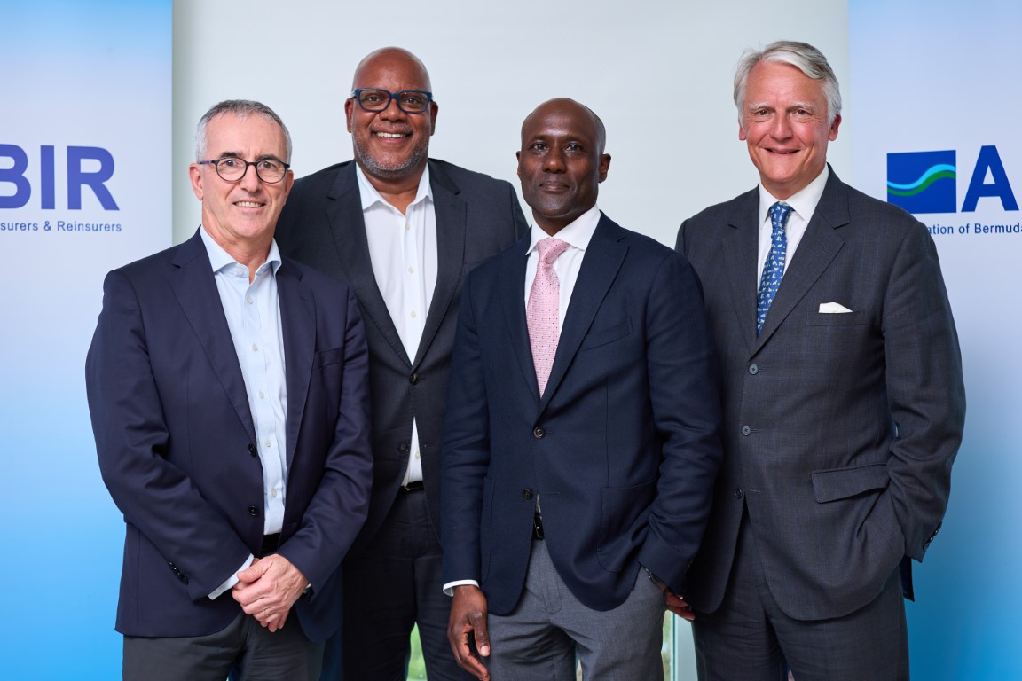 13 Leveraging Bermuda Reinsurance Capital-03_08955 (Medium)