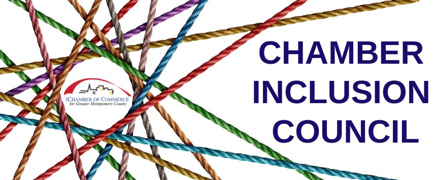 INCLUSION COUNCIL - 1