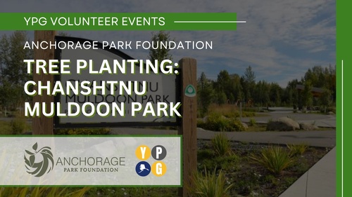 YPG volunteer events anchorage park foundation tree planting: Chanshtnu Muldoon Park.