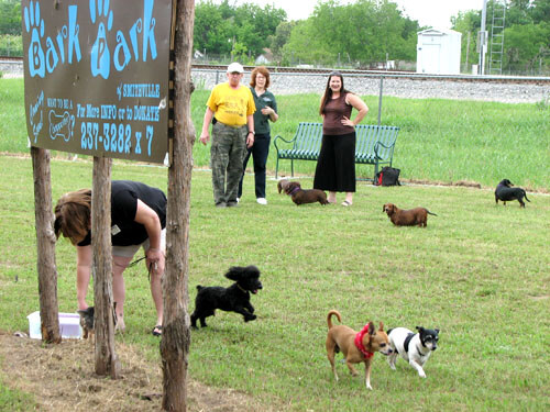 Doggie Bark Park little dog area