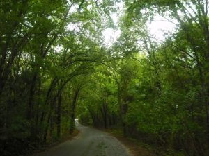 Bike Trails through state parks