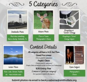 photo contest categories