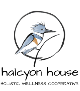 Halcyon House Logo 1