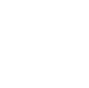 Chamber-of-the-Year-2025-white