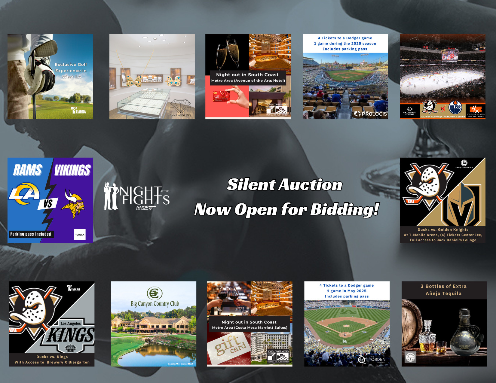 Silent auction -3