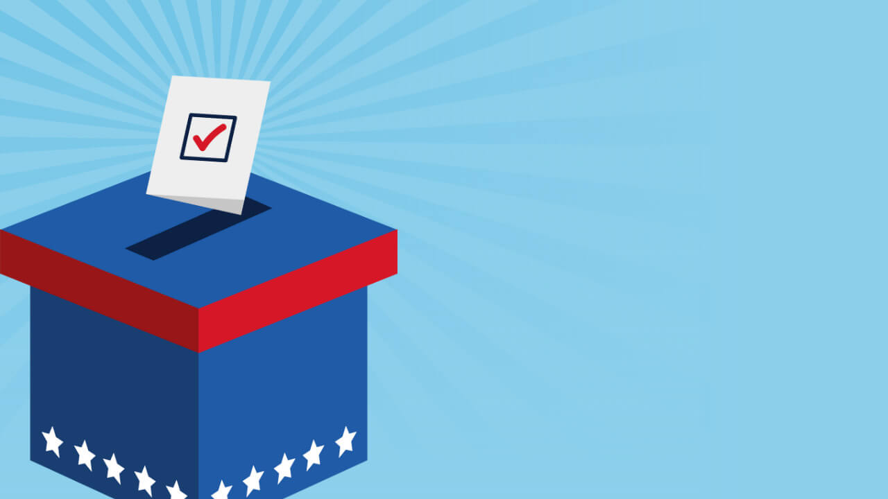 BLOG - Election Voting