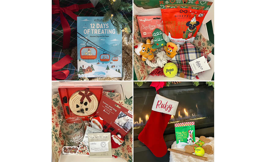 Companion Acres Gift Boxes