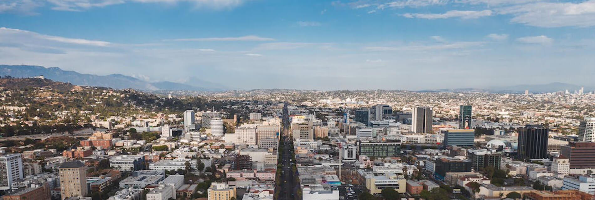 View of the City