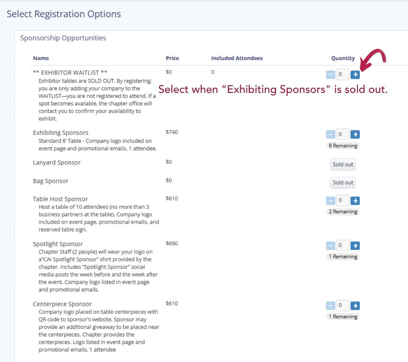 Copy of Website Invoices &amp; Receipts