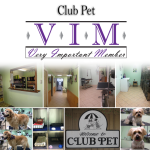 28VIM_ClubPet_November2017_gallery