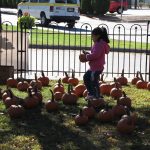 Child in Pumpkin Patch