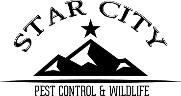 star city pest logo