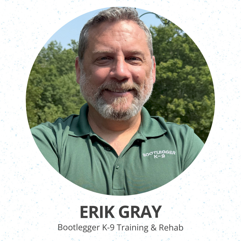 Alicia Hodges-website (1)