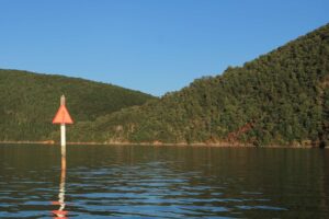 A red triangle channel marker near the base of Smith Mountain.