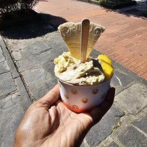 Tuscany 2025 highlight 14 sq