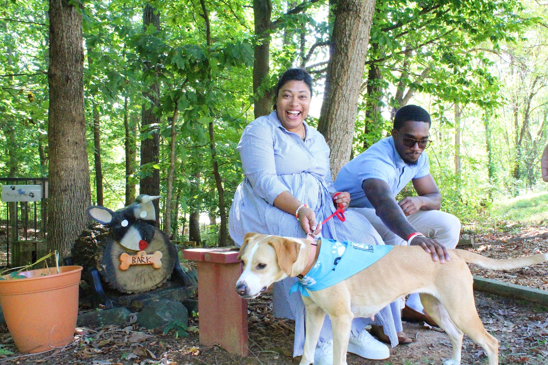 SPCA x Chamber x Cinnamon