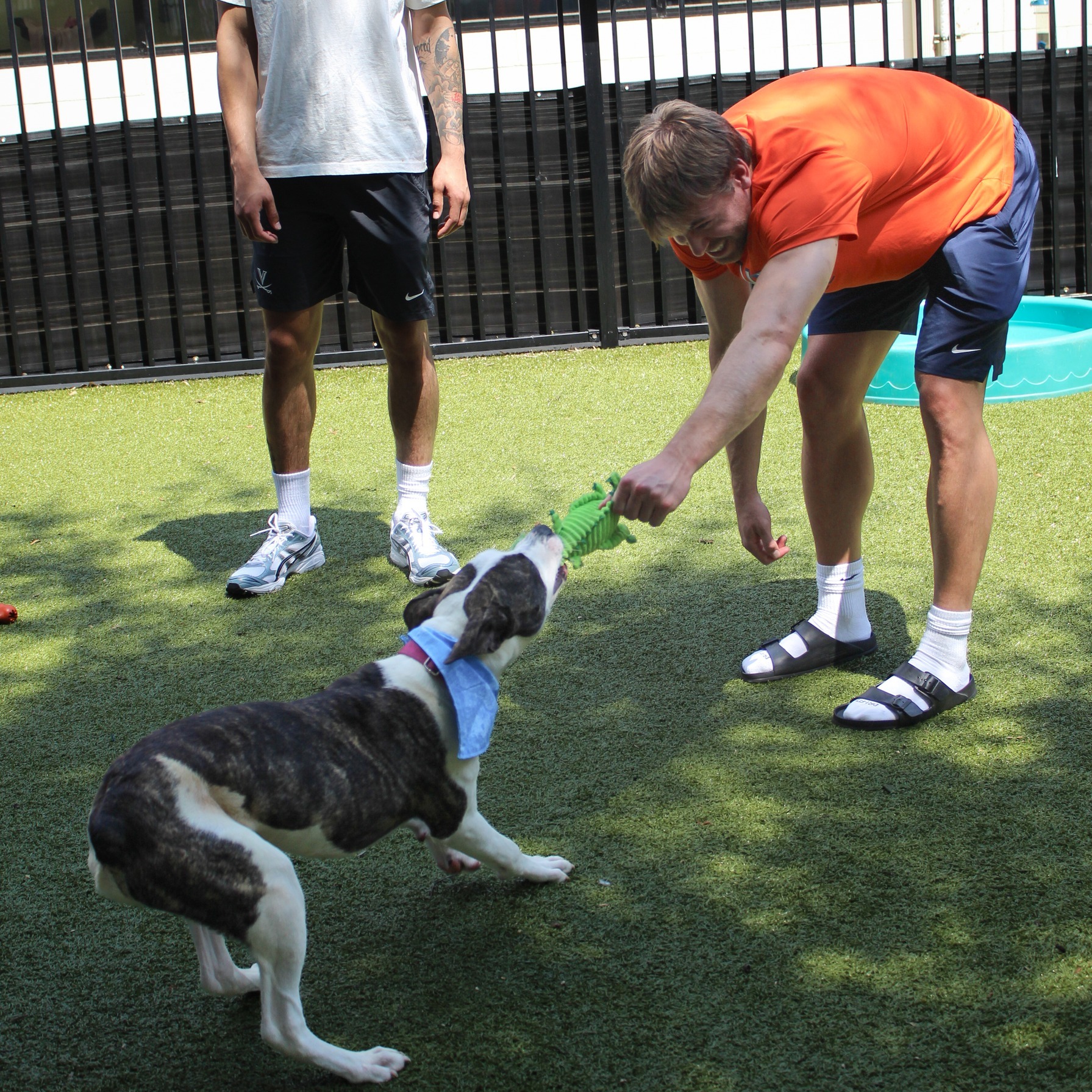 499149064_1154825550016801_8471389870339560767_n 499149064_1154825550016801_8471389870339560767_n