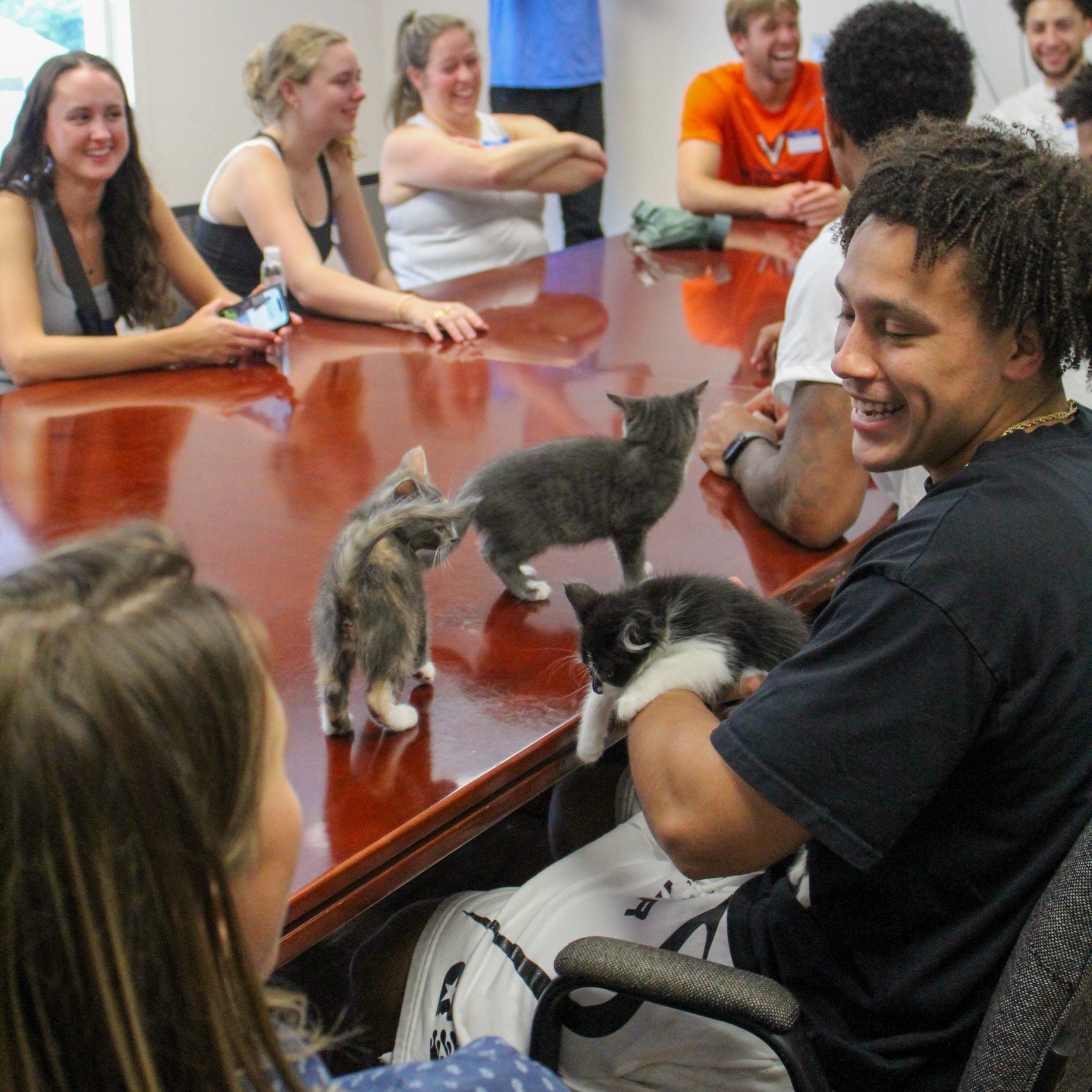 509426903_1154825483350141_634774729062380787_n 509426903_1154825483350141_634774729062380787_n