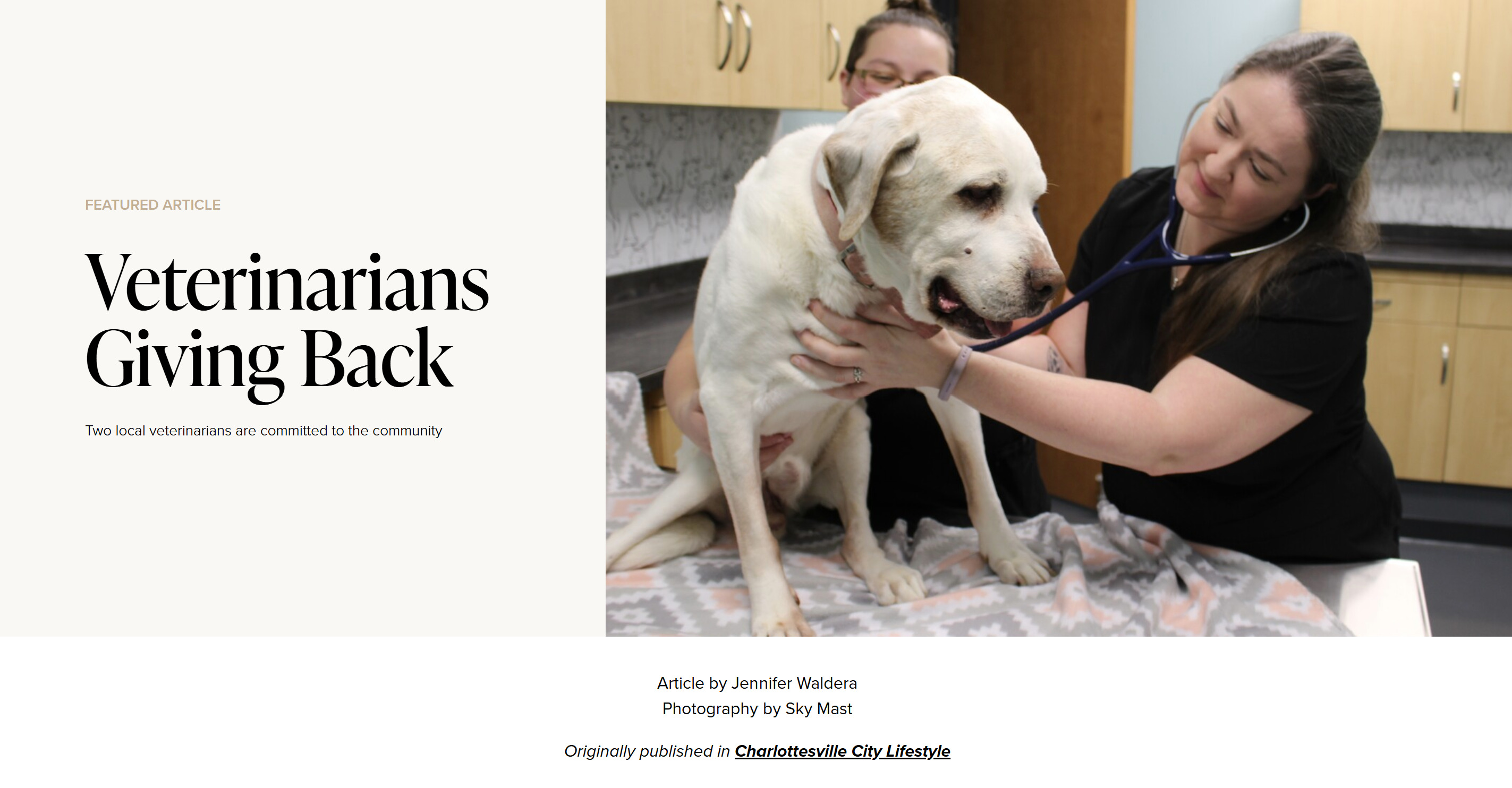 millcreekvet millcreekvet