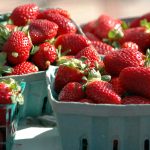 strawberries-for-sale