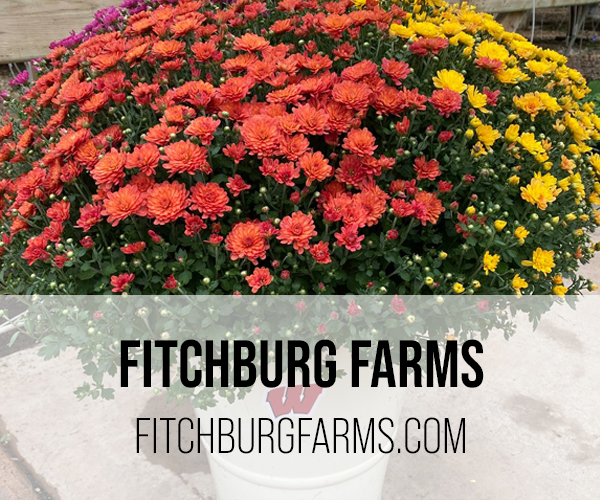 fitchburg farm button