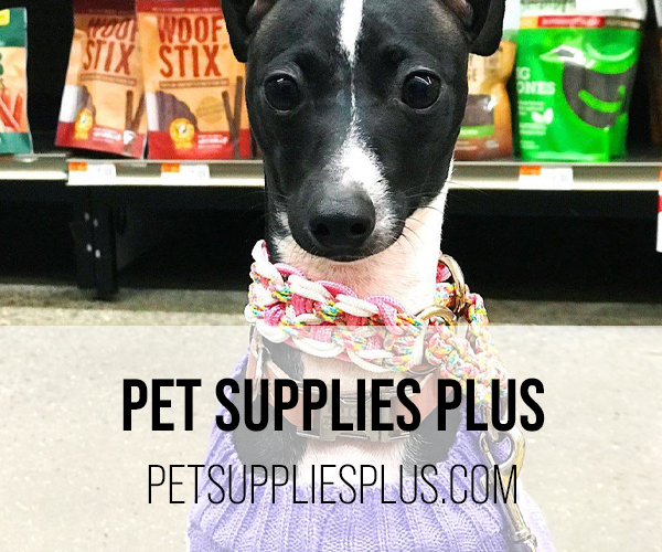 pet supplies plus button