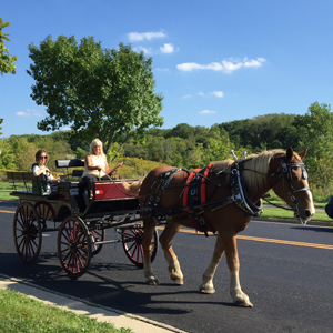 fall fest feature