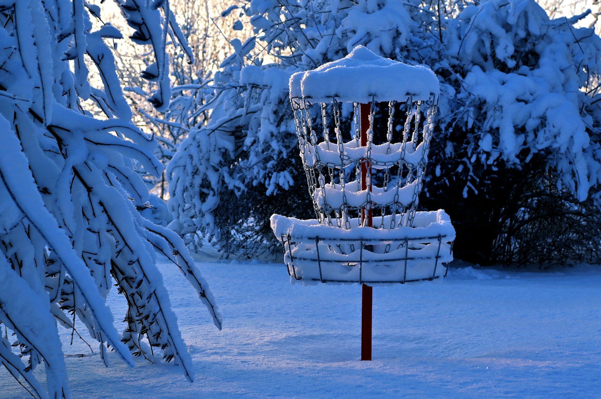 andres-siimon-XSNN_HbQW8c-unsplash