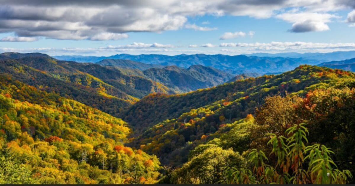 Media Article-Molly Frank-Mountains Media Article-Molly Frank-Mountains