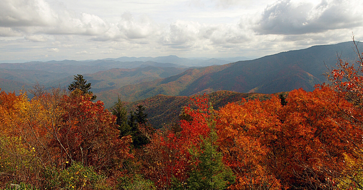 National parks to visit this fall – Great Smoky Mountains misty morning with autumn leaves