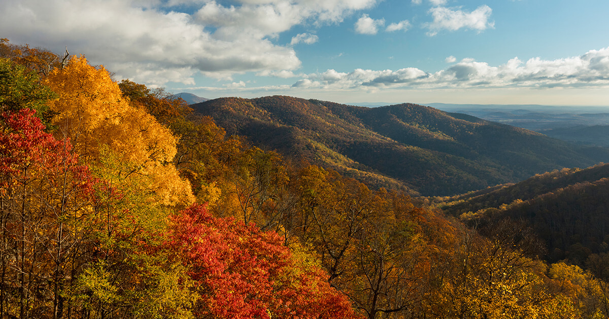 National parks to visit this fall – Shenandoah National Park Skyline Drive fall colors